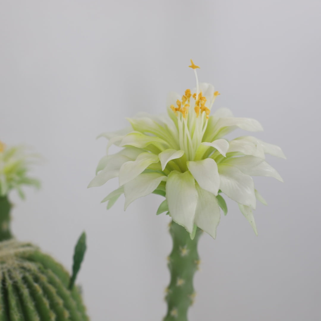 43Inch Artificial Cactus Plant, Faux Desert Cacti Potted Plant, Artificial Realistic Texture Potted Tall Fake Cactus For Home Office Living Room Bedroom Foyer Porch