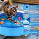thumbnail image 3 of Interactive Cat Water Toy - Cat Pool with Fish Toys for Indoor Bored Cats, 3 of 5