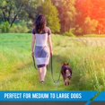 thumbnail image 4 of Correa resistente - 2 asas - Las asas de tráfico acolchadas brindan control adicional, 7 pies de largo - Correa perfecta para perros medianos a grandes, negra y azul, 4 of 5