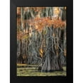 thumbnail image 2 of Head, Danny 11x14 Black Modern Framed Museum Art Print Titled - On the Bayou V, 2 of 5