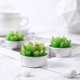thumbnail image 1 of Fiudx Trío de Velas de Cactus Suculentos, Diseño Realista Inspirado En La Naturaleza, Cera de Larga Duración, Crea Un Ambiente Cálido, Un Elemento Decorativo para El Hogar, Ideal Como Regalo, Verde,, 1 of 6