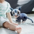 thumbnail image 6 of Cat Plush Doll Kitty Stuffed Animal Throw Cushion Soft Plush Fabric for Children Bedroom Living Room, 6 of 8