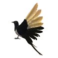 thumbnail image 5 of Magpie Simulation Bird Artificial Bird Crafts Realistic Feathered Bird Model Bird Figurine Statue for Outdoor Micro Landscape 36cm Spread Wings, 5 of 8