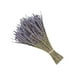 thumbnail image 2 of Bearachild Paquetes de lavanda seca natural, lavandas ligeras, hermoso ramo de flores, arreglo de flores, accesorio para fiesta en casa Decoración del hogar Lavanda seca 50 gramos Bearachild  HA084088-01, 2 of 6
