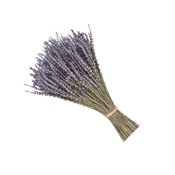 Advancent Paquetes de lavanda seca natural lavandas cosechadas ligeras hermoso ramo de flores para boda DIY fiesta en casa Decoración del hogar Lavanda seca 50 gramos Advancent HA084088-01