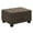 Chocolate, variant on Lexicon Maston Microfiber Ottoman with Storage in Chocolate