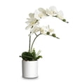 thumbnail image 4 of INNVELLO Faux Orchids Plants in Pot for Home Decor Indoor, 4 of 8