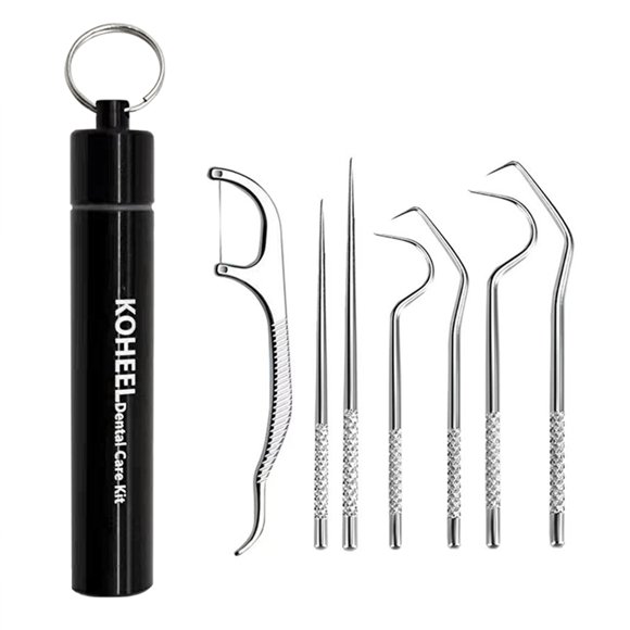 KOHEEL Ensemble de Cure-Dents de Poche, Trousse de Cure-Dents en Fil Dentaire Réutilisable, Outils de Nettoyage des Dents en Acier Inoxydable, Cure-Dents, Trousse d'Hygiène Buccale avec Support pour Pique-Nique, Camping, Voyage