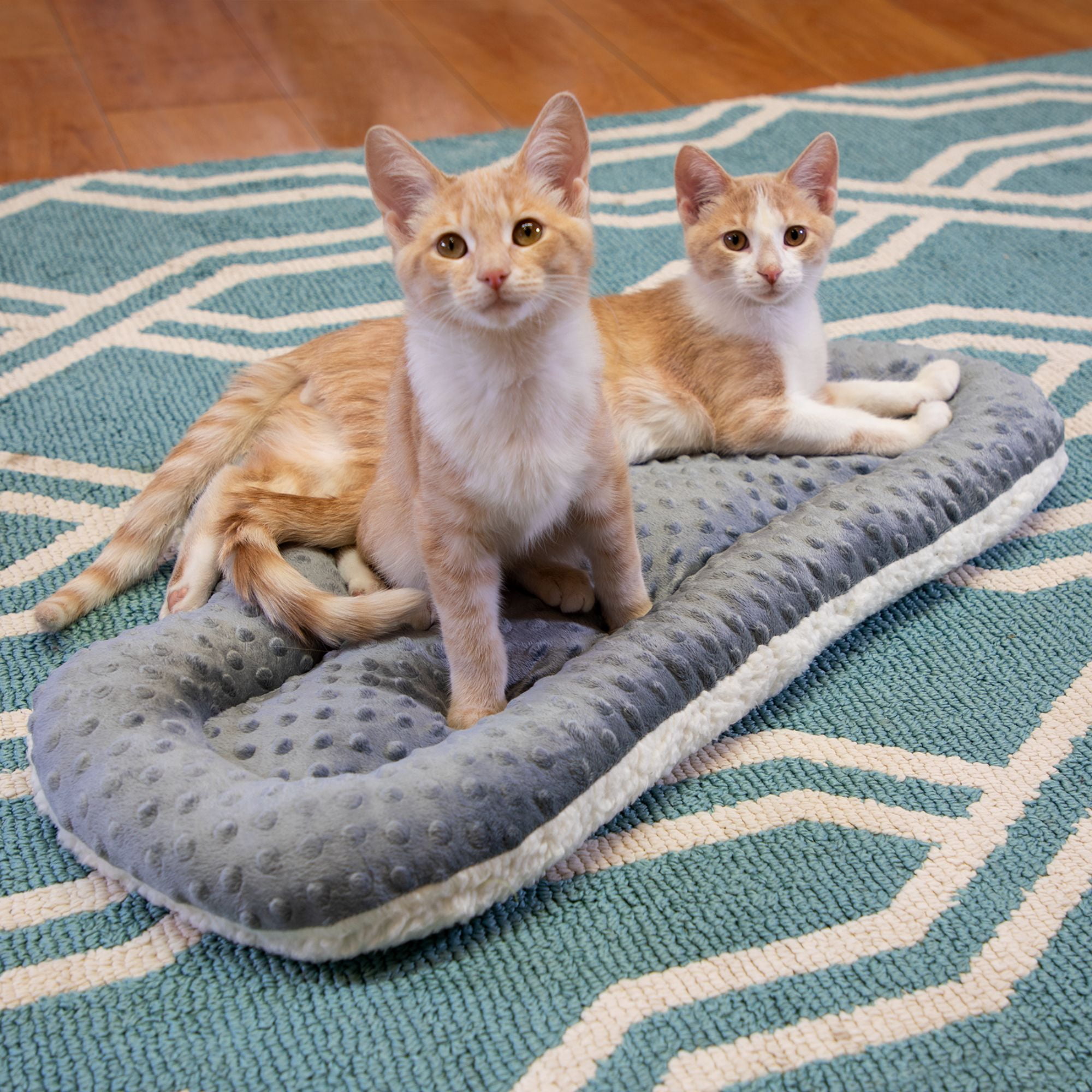 Kitty City Cloud Bed