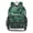 Green Peacock Feather Pattern, variant on Iauyy Clear Backpack Heavy Duty PVC Transparent Backpack for College Workplace, Spring Floral Patterns