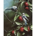 thumbnail image 3 of Daniel, Kevin 15x18 Black Modern Framed Museum Art Print Titled - Summer Blue Jays, 3 of 5