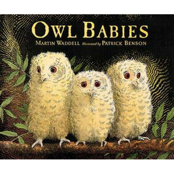 Pre-Owned Owl Babies (Board Book)