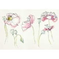 thumbnail image 3 of Novak, Shirley 14x11 Black Modern Framed Museum Art Print Titled - Pink Somniferums, 3 of 5