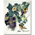 thumbnail image 1 of Ceramic Tile Mural-John Audubon Birds Painting 30. 48" w x 60" h using (20) 12 x 12 ceramic tiles, 1 of 5