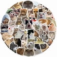 thumbnail image 2 of 50pcs Cat MEME Animals Stickers Toy Graffiti Decals for Kids, 2 of 5
