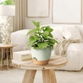 thumbnail image 6 of Behome Set of 5 Plant Pots, 5/5.5/6/6.5/7 Inch Flower Pot Indoor Self Watering Planters with Drainage Holes and Saucers, Modern Decorative Planter Pot for All House Plants, Green, 6 of 7
