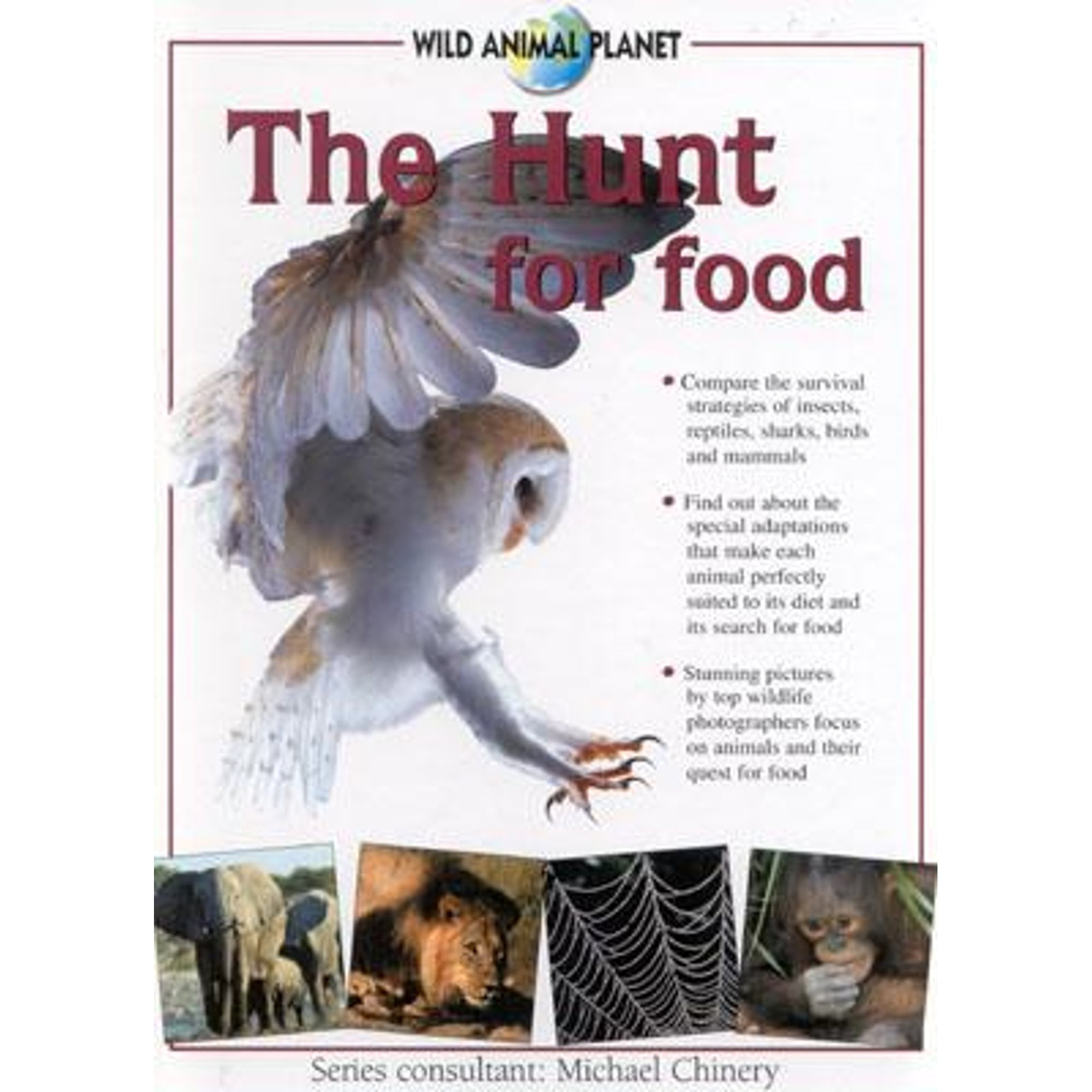 Wild Animal Planet: The Hunt for Food : Wild Animal Planet (Hardcover) -  