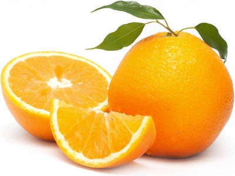 Orange Bitter Essential Oil 1 fl oz (30 ml) - 100% Pure and Natural by Silky Scents
