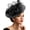 Black, variant on Fascinators Hat Flower Mesh Feathers Hat with a Headband and a Clip Tea Party Headwear for Women