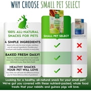 Small Pet Select - Healthy Snackers - Carrot/Pineapple