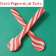 thumbnail image 4 of Christmas Candy Cane Spoons, Hot Chocolate Stirrers, 36 Count, 5.08 Ounces per Box, Pack of 3, 4 of 7