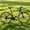 Black, variant on ICEEIF 24-Speed 700C Wheel Hybrid Bike, Dual Disc Brakes Lightweight City Commuter Bicycle with Trigger Shifting, Internal Wiring Frame for Men & Women Adults, Multiple Colors