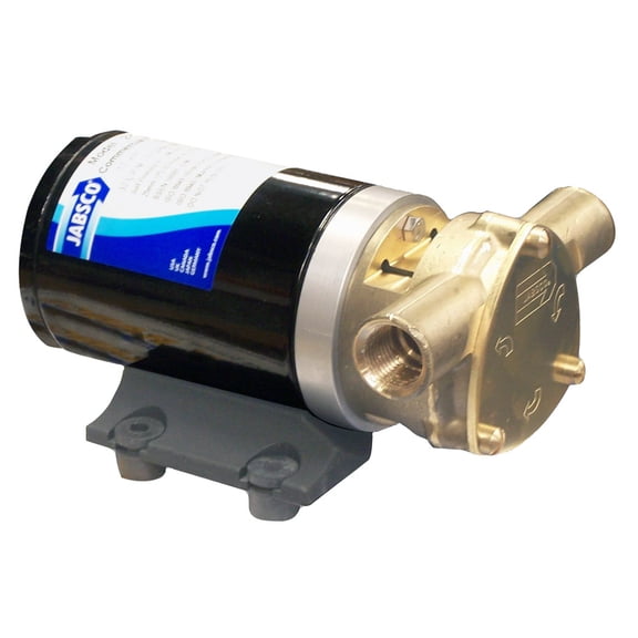 9" Jabsco Commercial Duty Water Puppy 24-Volt