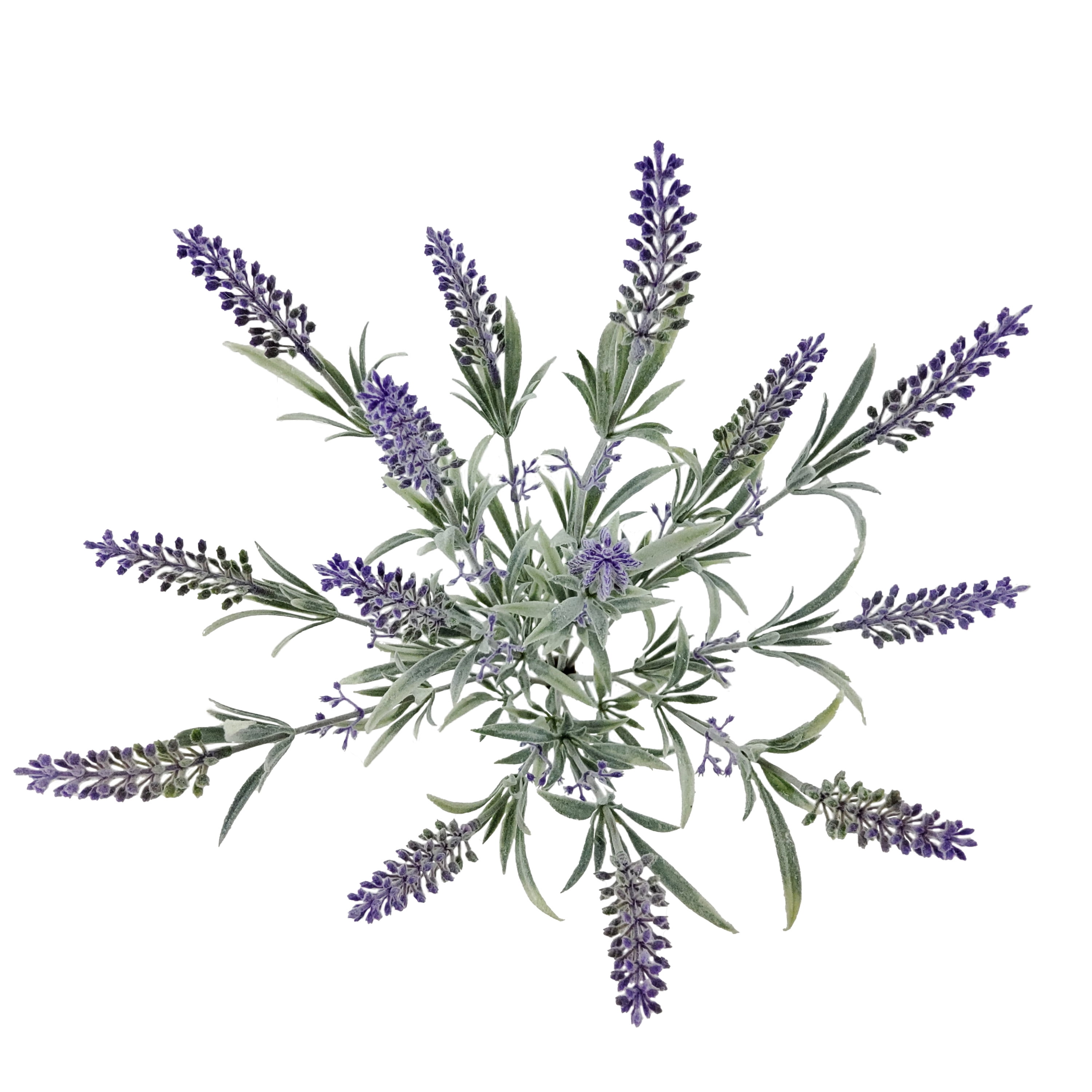 Mainstays Indoor Artificial Floral Bush, Lavender, Purple Color, Assembled Product Height 19"