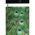 thumbnail image 2 of 200 Bags 100 10x13 Blue Peacock, 100 10x13 Peacock Feathers Designer Poly Mailer, 2 of 2