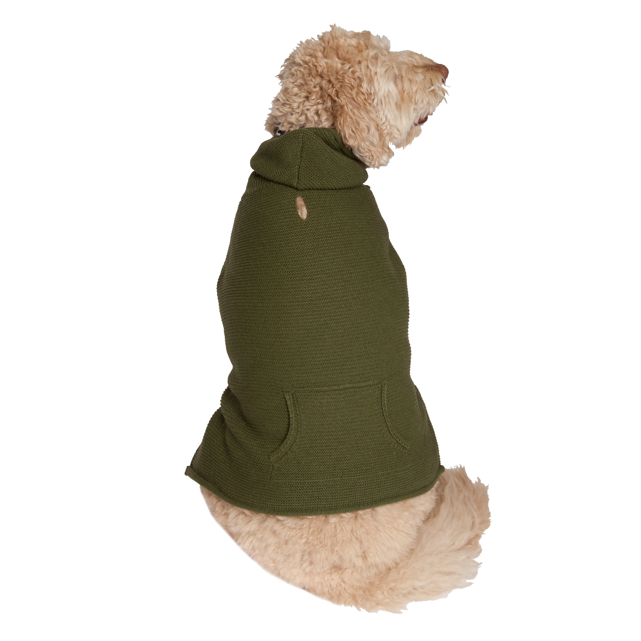 Vibrant Life Fall Forest Green Hood with Pocket Dog Sweater