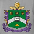 thumbnail image 3 of CafePress - Delta Sigma Phi Coat Of Arms T Shirt - Womens Comfort Colors® Shirt, 3 of 4