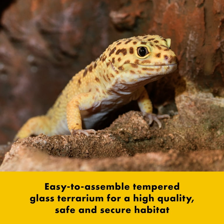 Zilla QuickBuild Terrarium with Easy Clean Bedding Tray 30