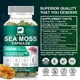 thumbnail image 4 of Píldora de musgo marino orgánico BEWORTHS para la salud intestinal y el apoyo inmunológico Apoyo a la tiroides Apoyo a la salud de la piel y las articulaciones Antienvejecimiento, 4 of 5