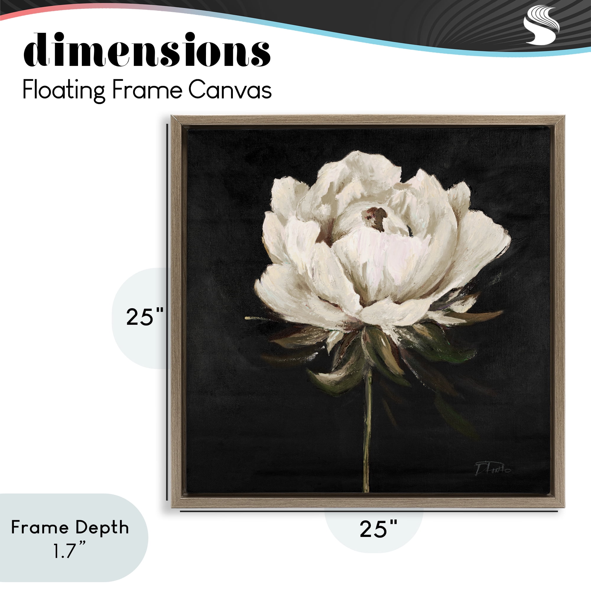 Stupell Industries Pretty Delicate Bloom on Black Brown Framed Floater Canvas Wall Art, design by Patricia Pinto