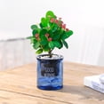 thumbnail image 4 of MesaSe Plant Container Long Lasting Smooth Surface Good Lazy Self-watering Plant Pot with Cotton Ropes, 4 of 4