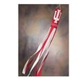 thumbnail image 1 of BSI Products 79023 Indiana Hoosiers- Wind Socks, 1 of 3