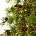 thumbnail image 3 of Nearly Natural Clear Prelit LED Assorted Colors Decorated Pine Christmas Tree, 4', 3 of 8