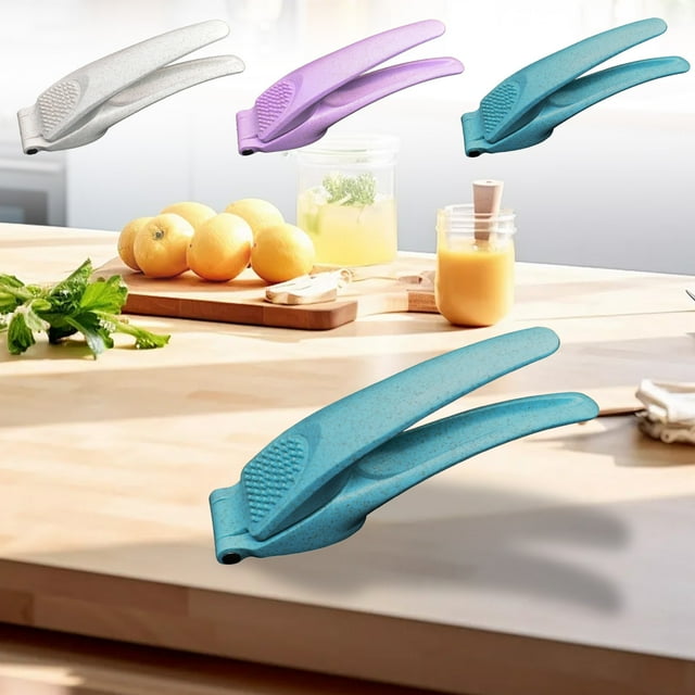 Mega Discount, Trending, Carestorng Stainless Steel Garlic Press,Plastic Handle Pounding tool for Accurate Garlic Puree,Thickened Material for Kitchen Use | Stainless steel, Blue, Akmoler