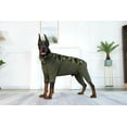 thumbnail image 6 of BT Bear Large Dogs Clothes,Thickened Warm Dog Jumpsuit with Zipper D-ring,Dog Recovery Suit,Anti-Shedding Dog Pajamas Pjs,After Surgery Dog Onesie for Small Medium Large Dog Green Camouflage XXS, 6 of 8