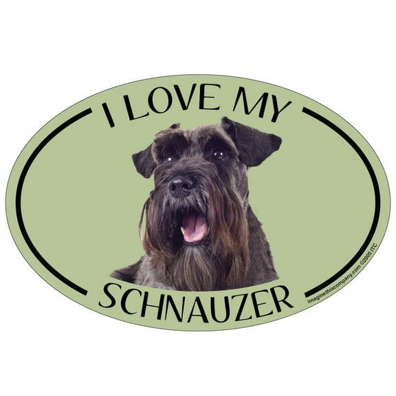 Imagine This Oval Magnet, I Love My Schnauzer