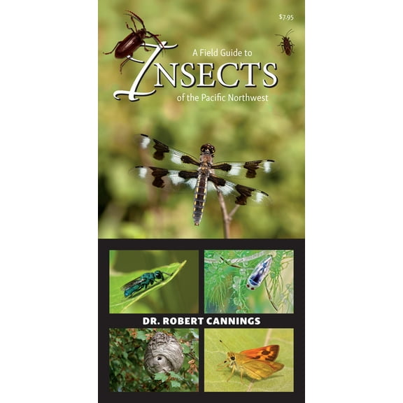 A Field Guide to Insects of the Pacific Northwest (Paperback)