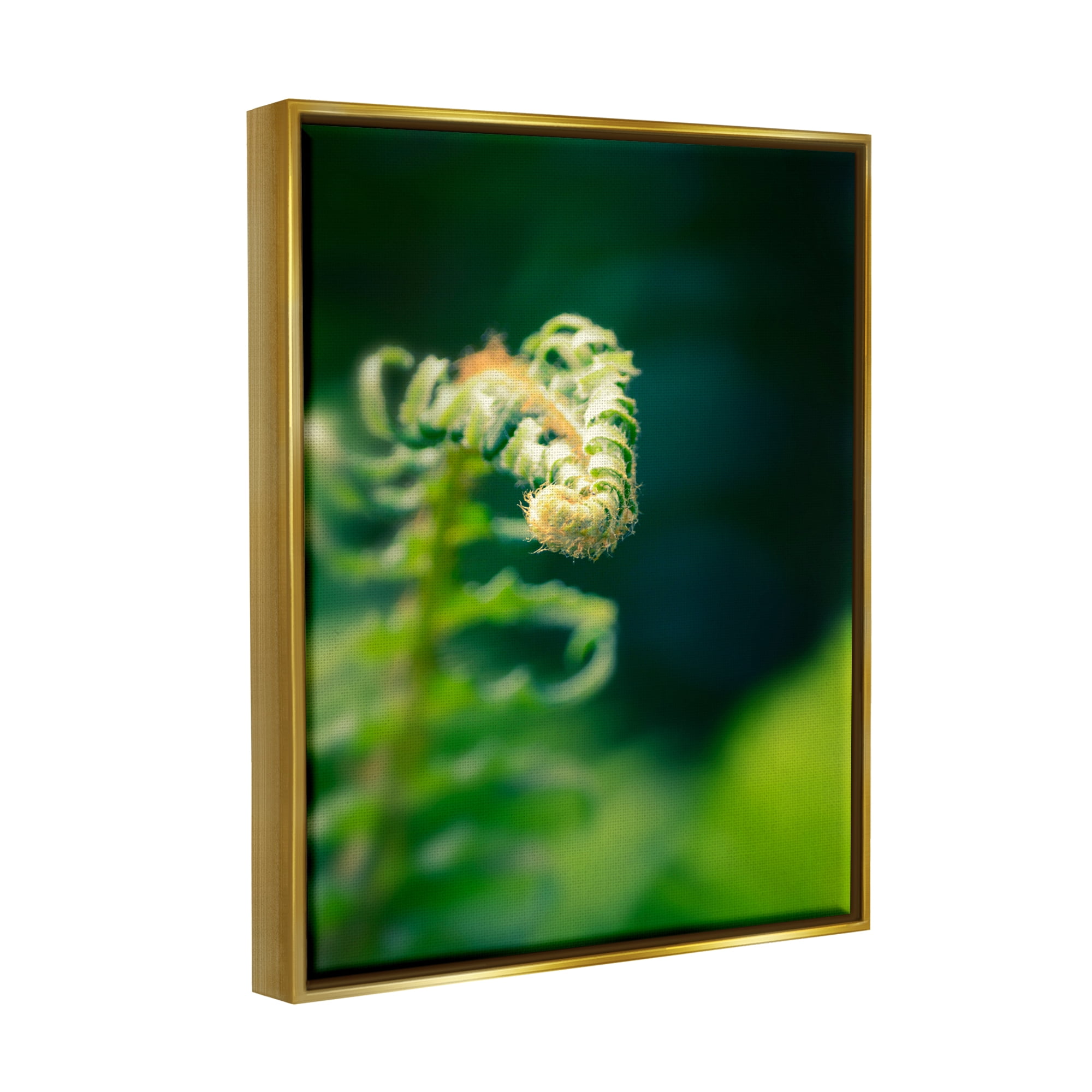 Stupell Fern Leaves Nature Photography Botanical & Floral Photography Gold Floater Framed Art Print Wall Art