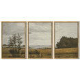 thumbnail image 6 of Drsoum Large 24x36in3pcs Natural Framed Vintage Landscape Wall Art Grassland Wall Prints Classic Retro Farmhouse Rustic Decorations for Living Room Bedroom, 6 of 6