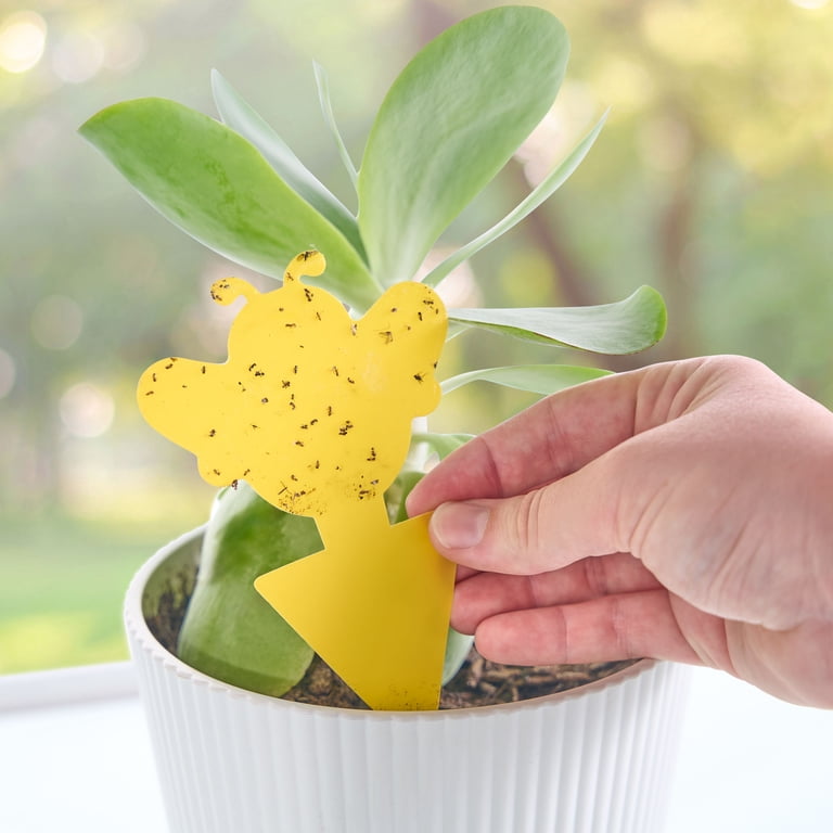 Expert Gardener Plant Insect Sticky Traps for Gnats, Aphids, and