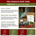 thumbnail image 3 of Hibiscus Tea Bags | Pyramid Tea Bags, Caffeine-Free, 100% Natural Ingredients, ECO Conscious Packaging | Herbal Tea for Relaxation | Rich Flavor, and Sustainable Enjoyment, 5 Oz (Pack of 50), 3 of 6