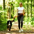 thumbnail image 5 of VIVAGLORY Dog Leash with Double Handle, Reflective Nylon Lead, Medium & Large, Orange, 4 ft, 5 of 7