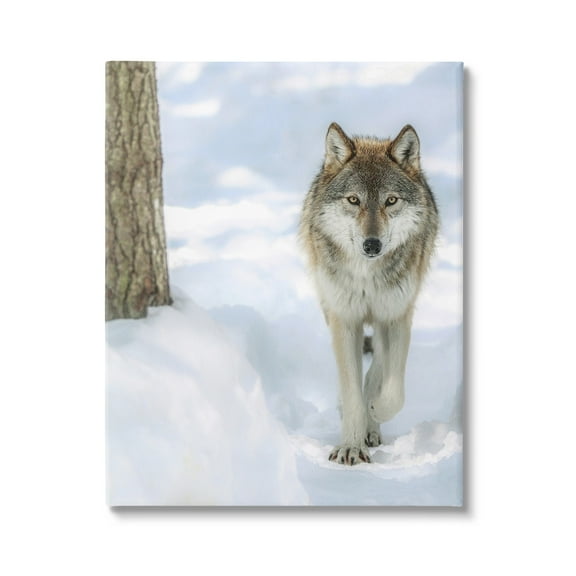 Stupell Industries Wild Wolf Winter Snow Photography Animals & Insects Photography Gallery Wrapped Canvas Print Wall Art