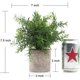 thumbnail image 4 of Mini Plastic Artificial Fake Plants Green Rosemary Fern in Pot for Home Decor Office Bathroom Desk Room Decoration, 4 of 4