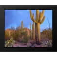 thumbnail image 2 of Fitzharris, Tim 24x20 Black Modern Framed Museum Art Print Titled - Tucson Mountains-Saguaro National Park-Arizona, 2 of 5