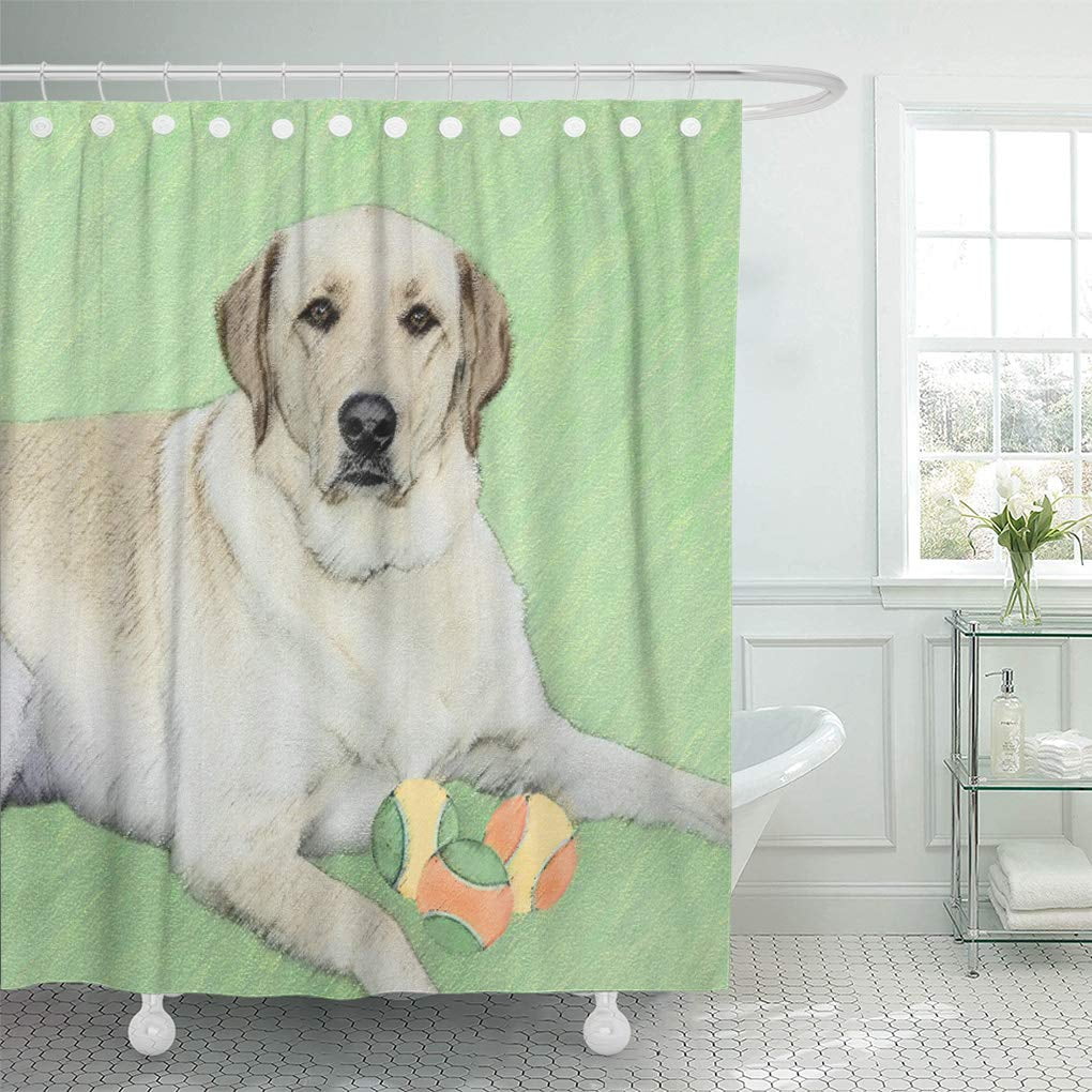 CYNLON Retriver Yellow Labrador Retriever Tennis Balls Lab Dog Puppy